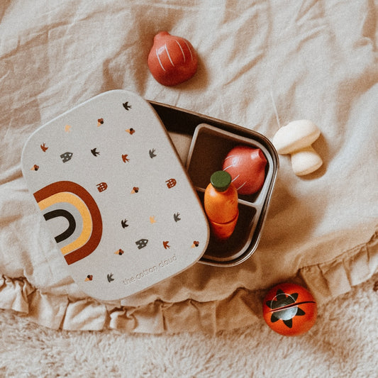 Rainbow Stainless Steel Lunchbox