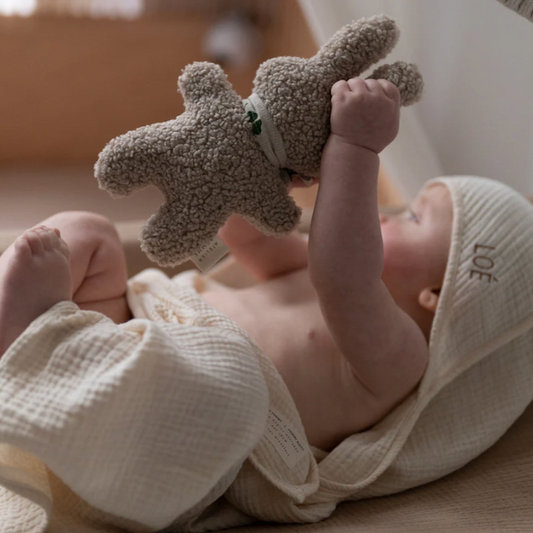 Little Rocky Rattle