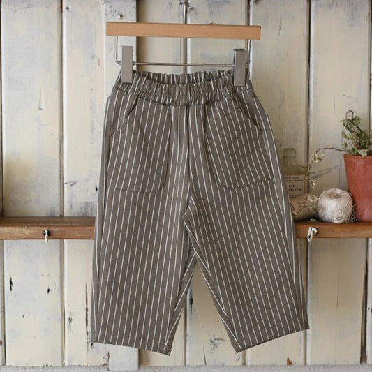 Explorer pants